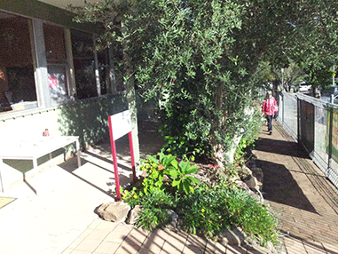 SMS office